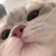 阿强很强