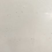 tcy~188392967