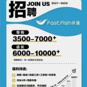 兔毛快鱼