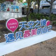 263工作组委会