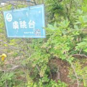丫丫751