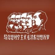 tcy~188481345