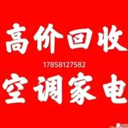 tcy~188483093