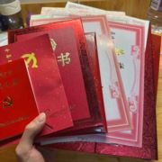 蚂蚁不烦