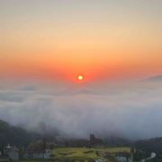 天台老板娘888