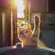 HHL新青年公寓