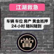 专业租车抵押12年
