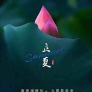 Chenyuhonh123456