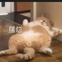 翔哥哥1111