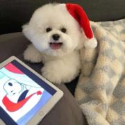 万般皆命运