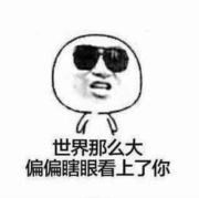 y人生何处不相逢