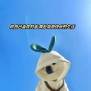 等一场时间的雪