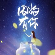 土胖子新车二手车
