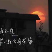 梦的探索者