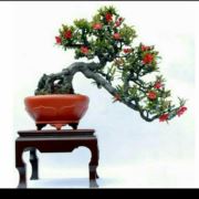 有你的快乐520