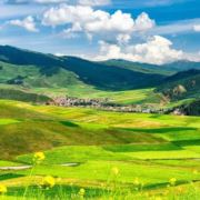 吾心安处是我家