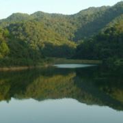 窈窕之君子不好逑