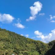 pan778899001