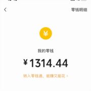 XN夏荷