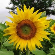 再回首忘了我是谁