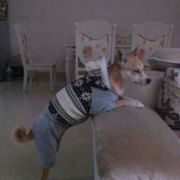 天大地大媽咪最大