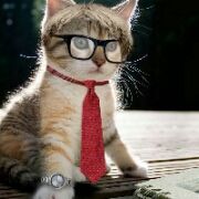 听老婆的永远是对