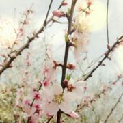 蓝天白云186989