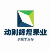 动则辉煌