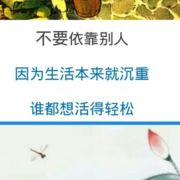 淡淡的桃花香