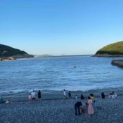 花谢花还会再开