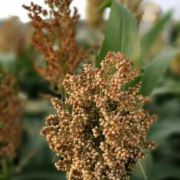 从曹娥江到杭州湾