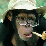 玻璃窗里的苍蝇