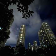 全嵊州第一好男人