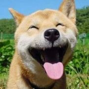 爱宝宝真是太好了