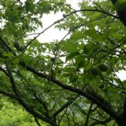 我是小哈哈哈哈