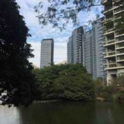 瘦瘦瘦一定要瘦