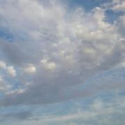 CT~888077