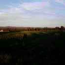 半醉半醒大半天