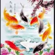 知行领悟sj312329