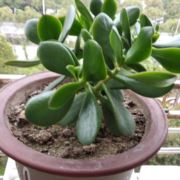 一零八有空看看