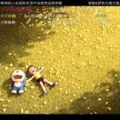 岁月缝花