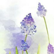 芮宝加油