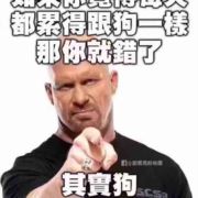 格冲梦东7