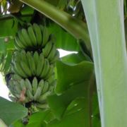 想想想想想想想享