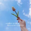 一辈子不放手967