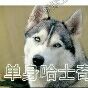 白鲨来袭