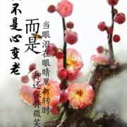 玲芯悦