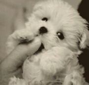 风里雨里只为你15