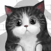 懒猫N