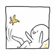 博君一肖是真的95